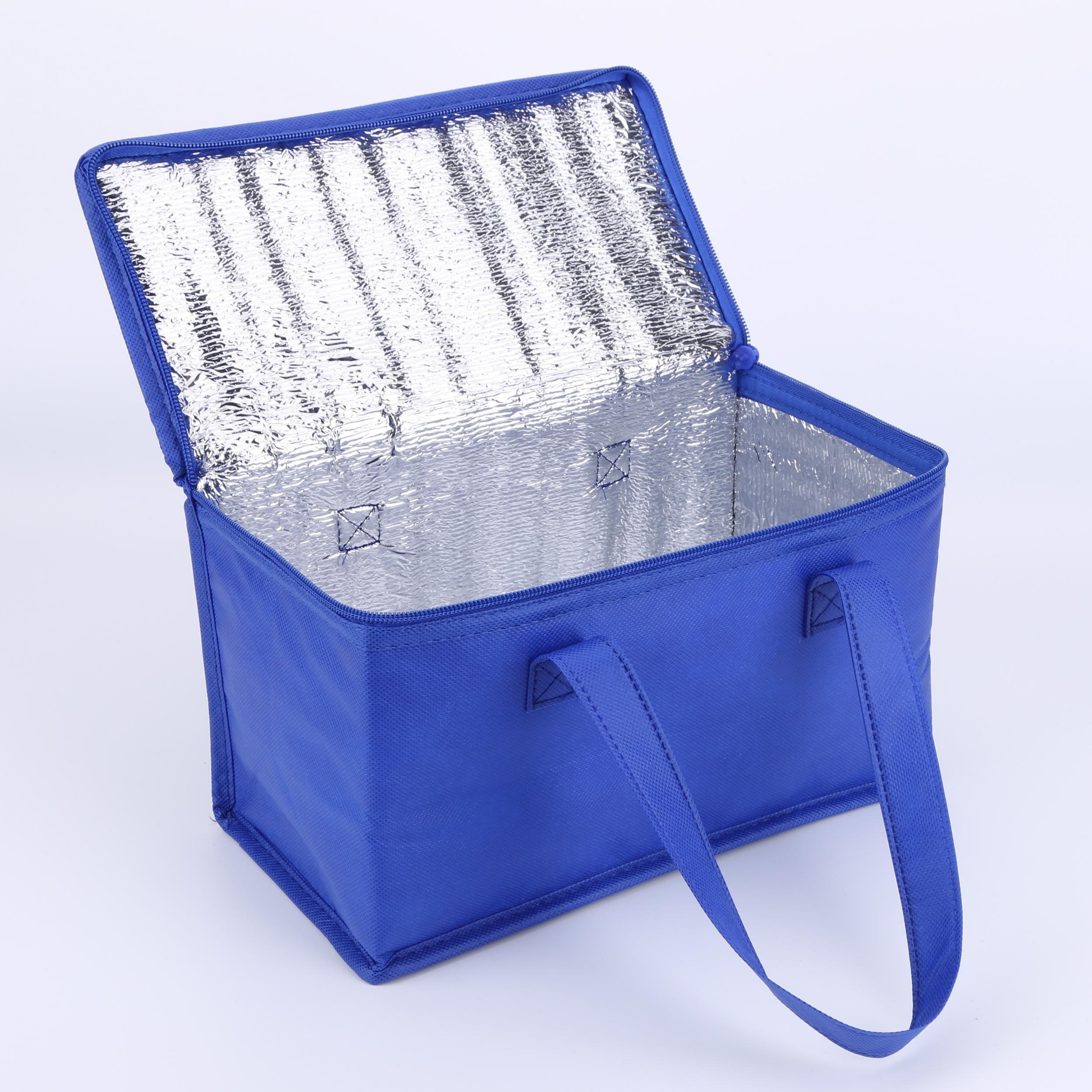 Insulated Cooler Bag for Drinks & Lunch, Portable & Durable