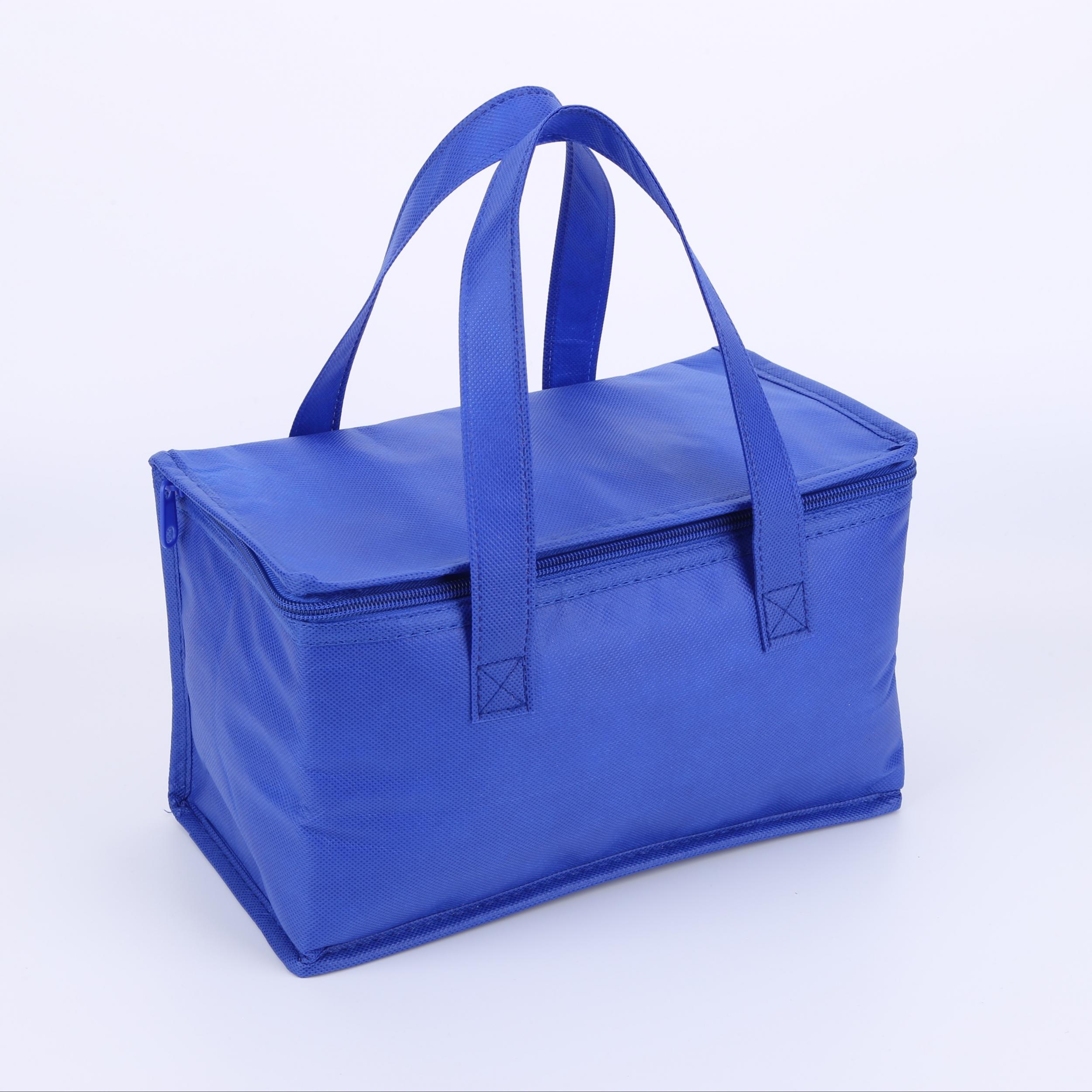Insulated Cooler Bag for Drinks & Lunch, Portable & Durable