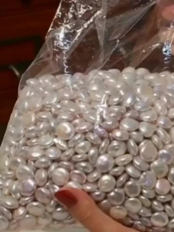 Flat Round Freshwater Pearl for DIY Earrings & Accessories