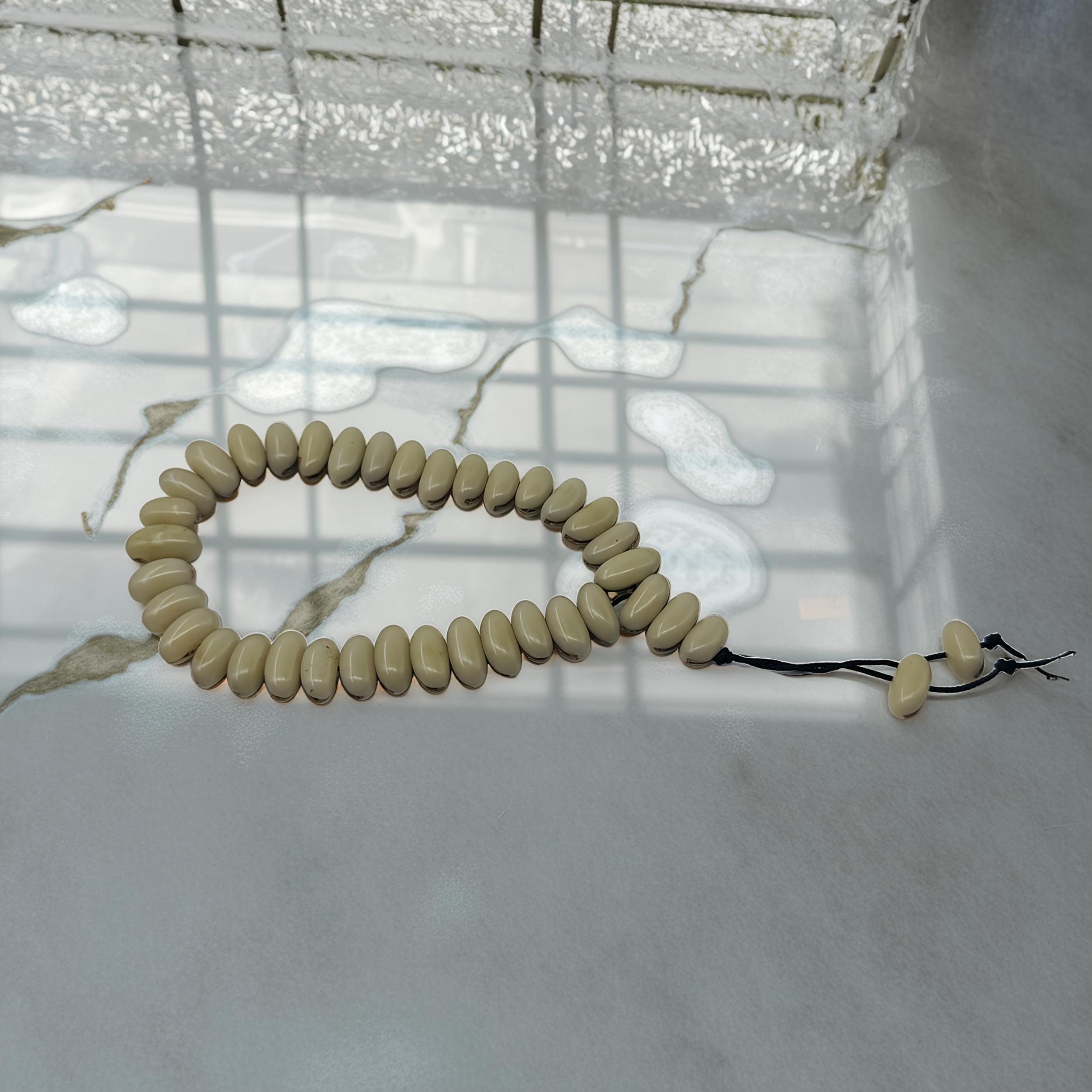Red Date Seed Tahsiha Prayer Beads with Tassel